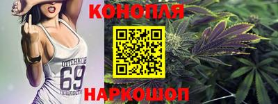 индика Ирбит