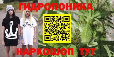 ГАЛЛЮЦИНОГЕННЫЕ ГРИБЫ Изобильный