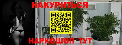 индика Ирбит