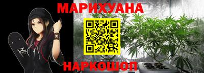 индика Ирбит