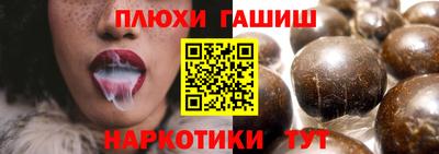 индика Ирбит