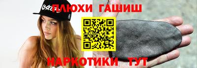 индика Ирбит